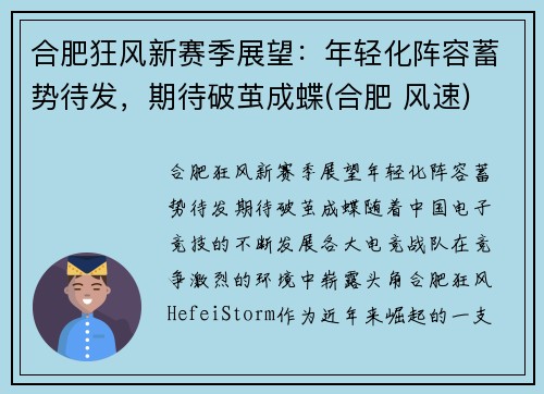 合肥狂风新赛季展望：年轻化阵容蓄势待发，期待破茧成蝶(合肥 风速)
