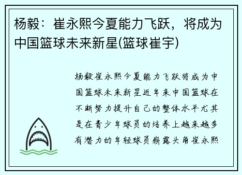 杨毅：崔永熙今夏能力飞跃，将成为中国篮球未来新星(篮球崔宇)