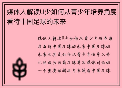 媒体人解读U少如何从青少年培养角度看待中国足球的未来