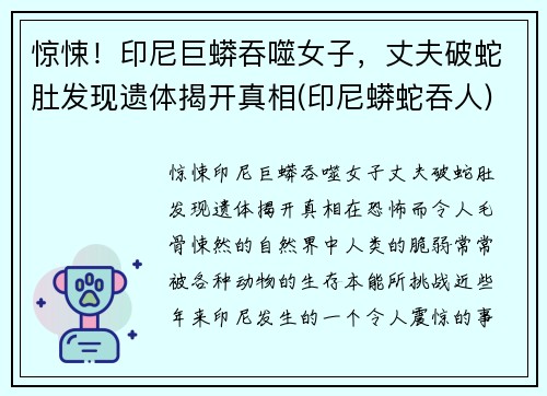 惊悚！印尼巨蟒吞噬女子，丈夫破蛇肚发现遗体揭开真相(印尼蟒蛇吞人)