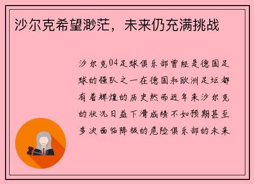 沙尔克希望渺茫，未来仍充满挑战