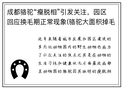 成都骆驼“瘦脱相”引发关注，园区回应换毛期正常现象(骆驼大面积掉毛)